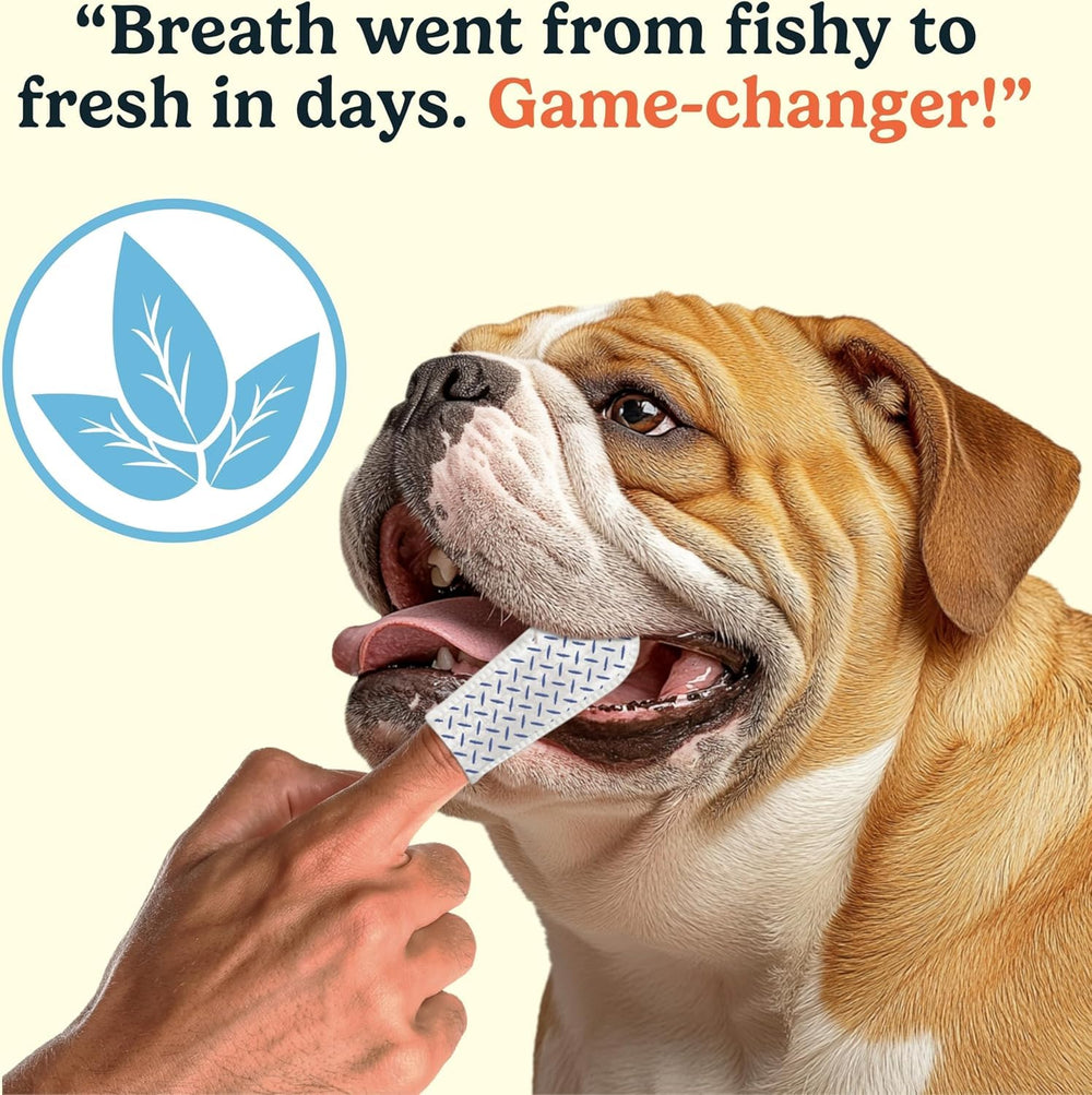 Lingettes Jasper haleine plus fraîche pour chien après utilisation.