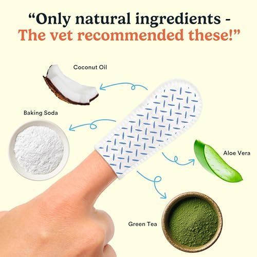 Lingettes Jasper formulation vétérinaire sûre pour chiens et chats.