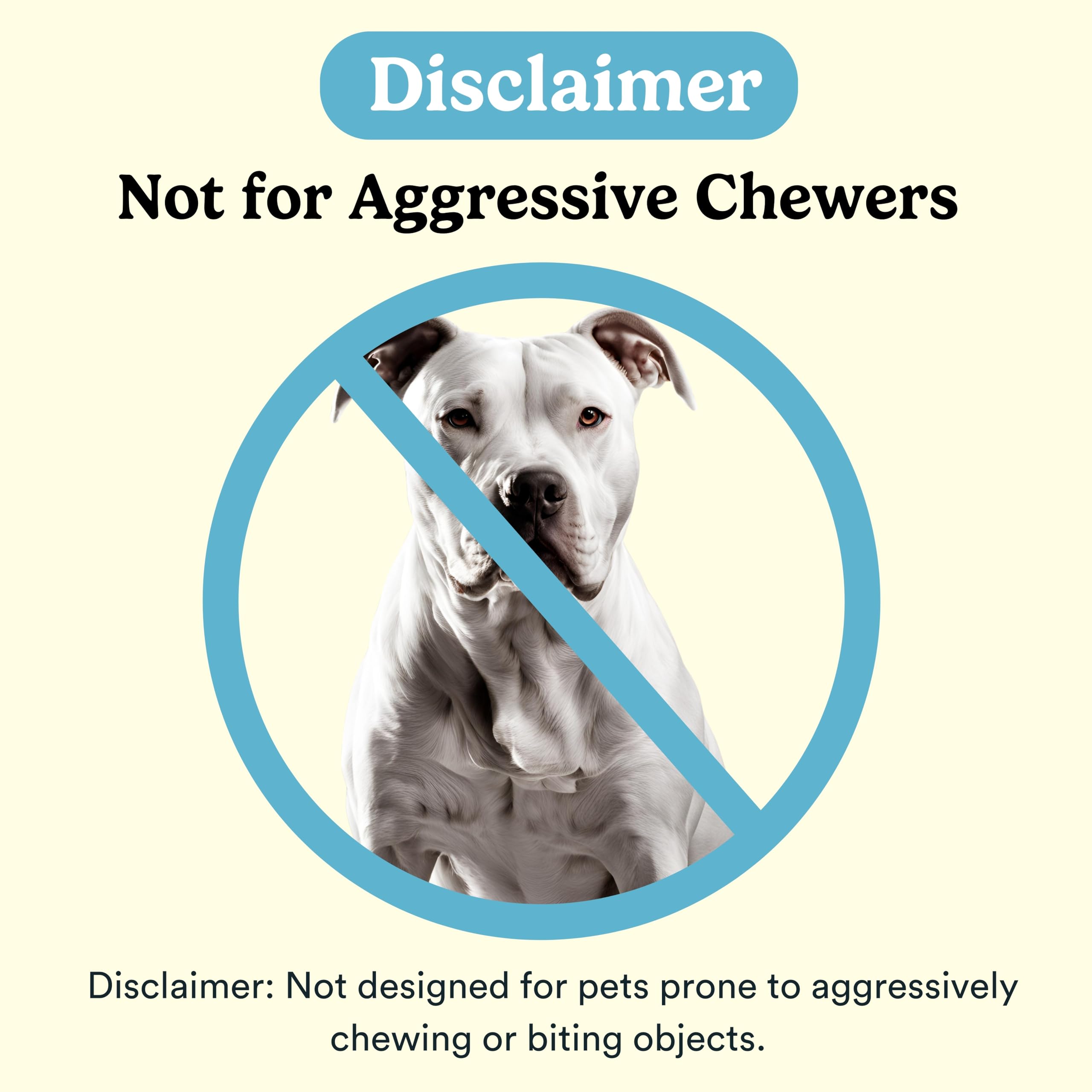 Jasper Macrobrush 360: adaptée aux chiens moyens et grands.