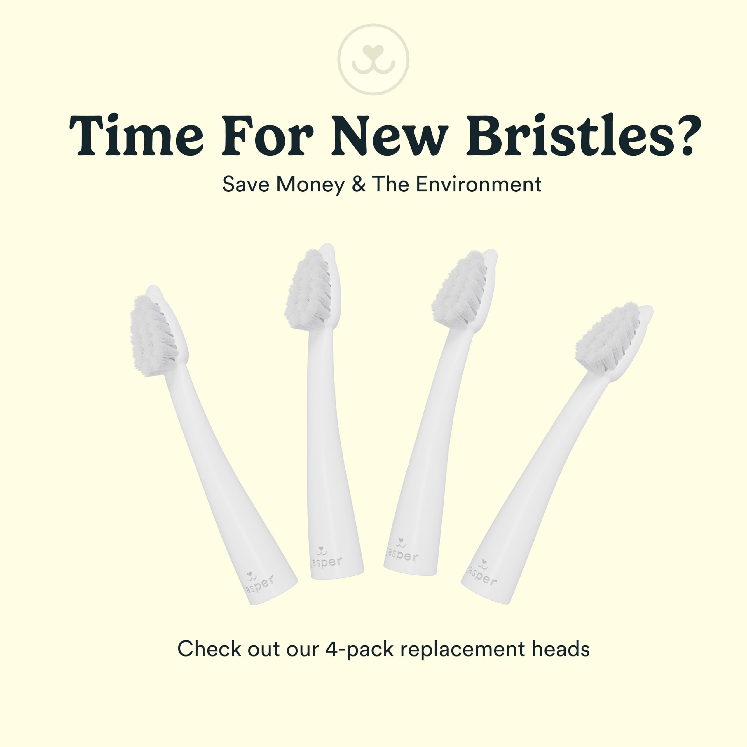 Kit Jasper Microbrush avec deux têtes remplaçables, solution durable