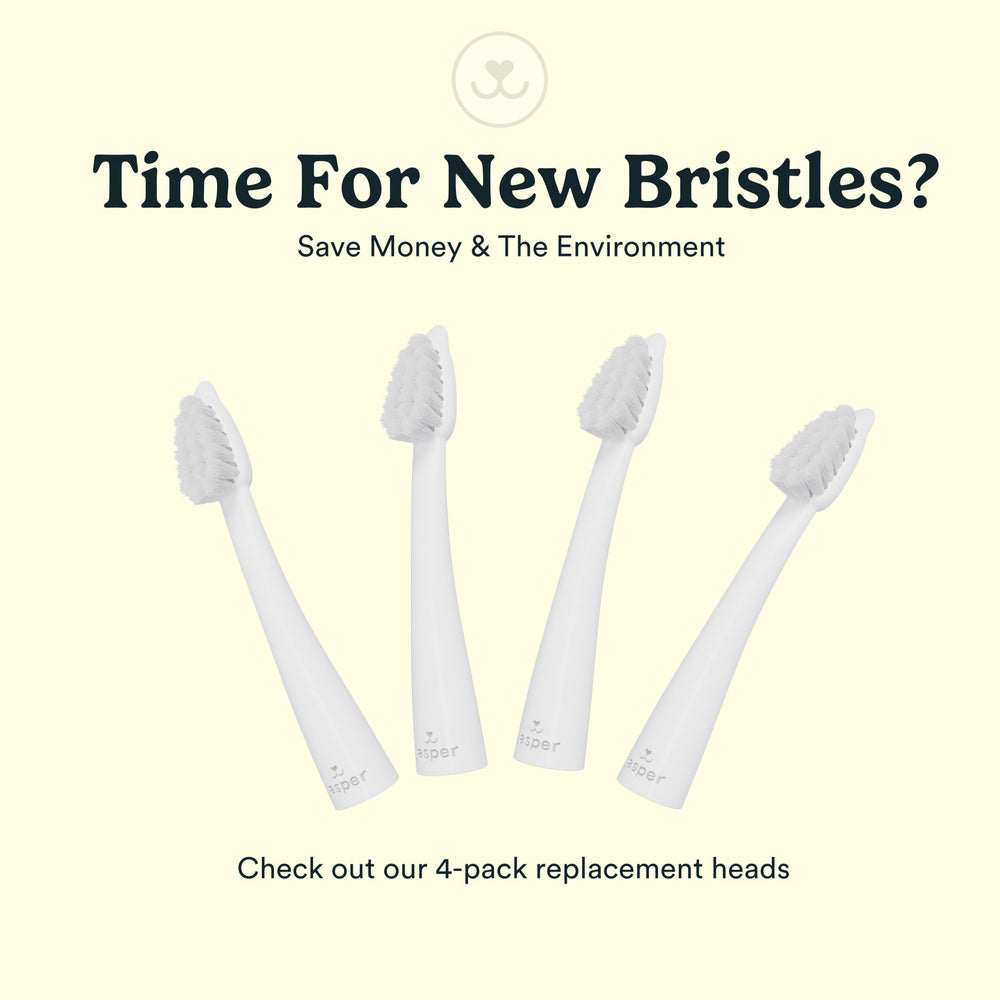 Kit Jasper Microbrush avec deux têtes remplaçables, solution durable