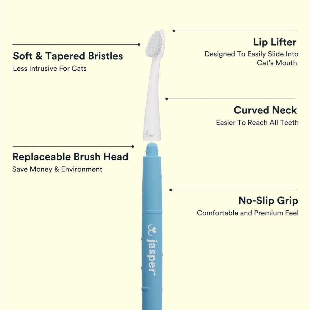 Levier-lèvre Jasper Microbrush facilite l'ouverture de la bouche lors du brossage