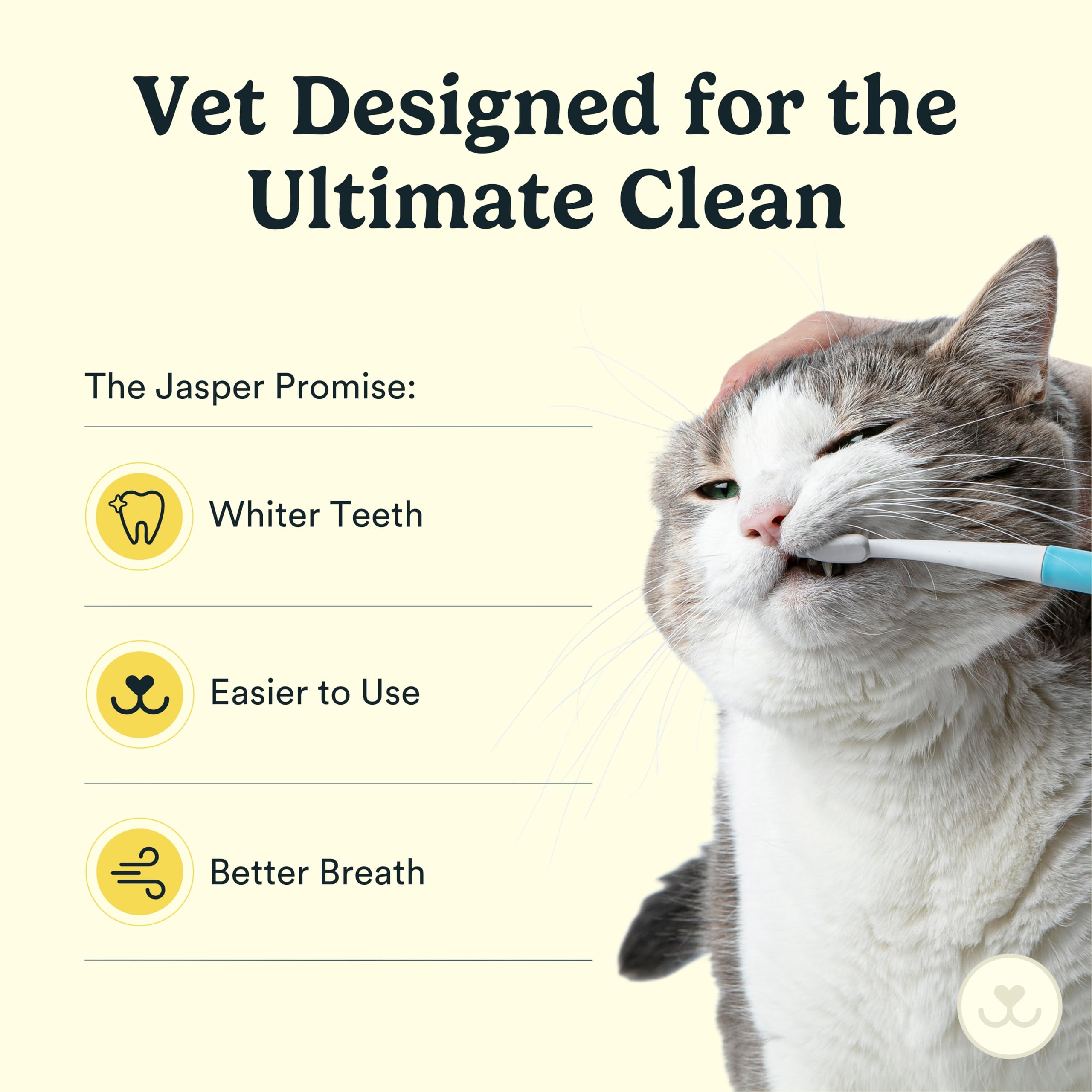 Tête inclinée Jasper Microbrush pour atteindre les dents arrières