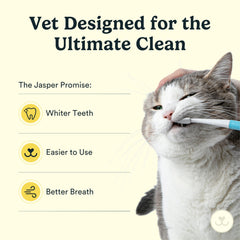 Tête inclinée Jasper Microbrush pour atteindre les dents arrières