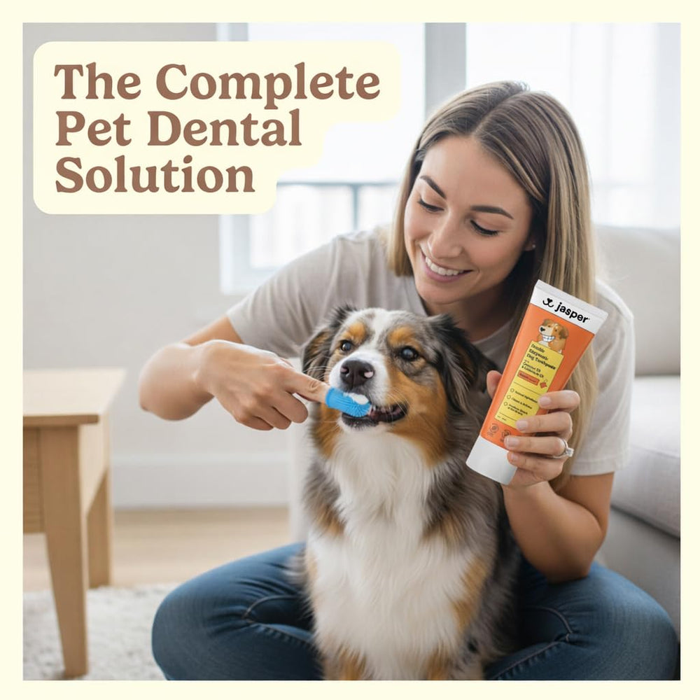 Dentifrice Jasper bacon poulet pour un brossage agréable.