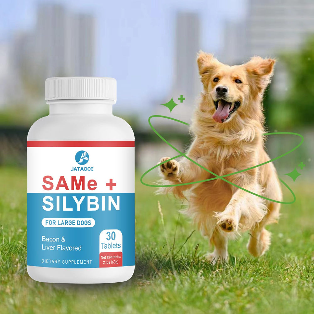 Jataoce Same+Silybin – soutien hépatique potentiel.