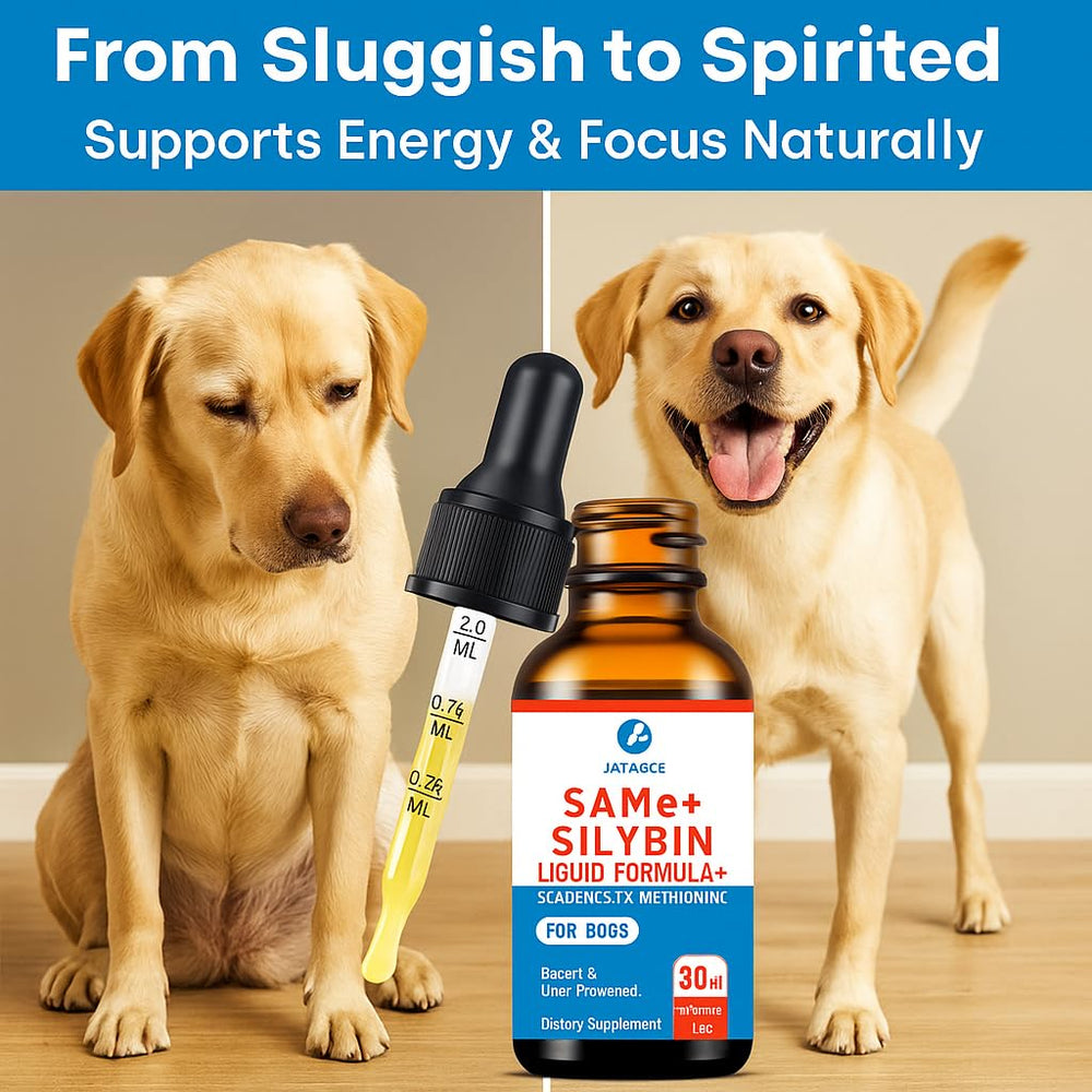 Jataoce SAMEe pour chiens — extrait de silybine pour soutien potentiel