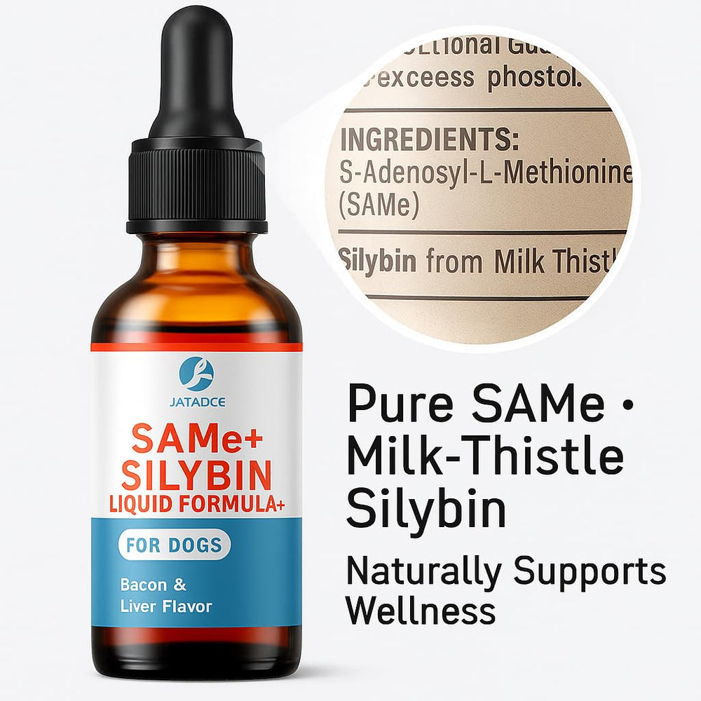 Jataoce SAMEe pour chiens — sans additifs artificiels et formulation sûre