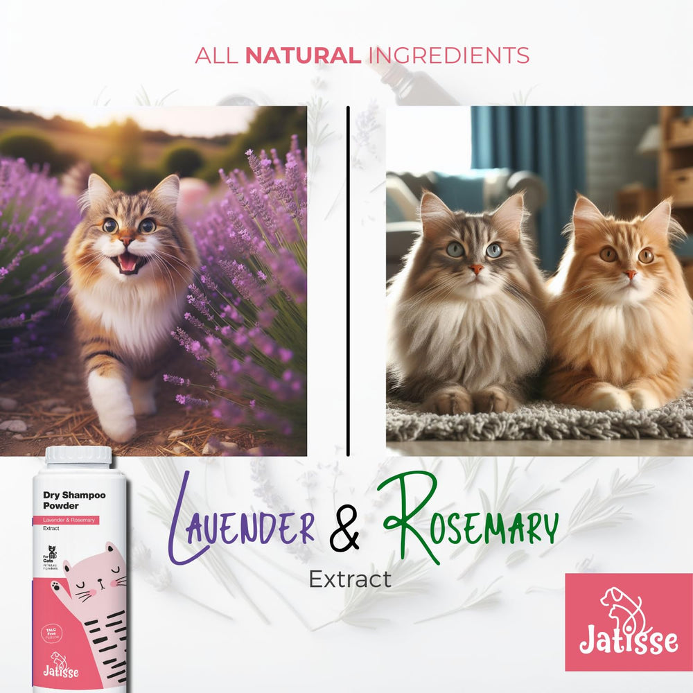 Jatisse chat: lavande et romarin pour un arôme frais pendant le soin.