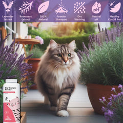 Jatisse chat: application de la poudre pour pelage soyeux.