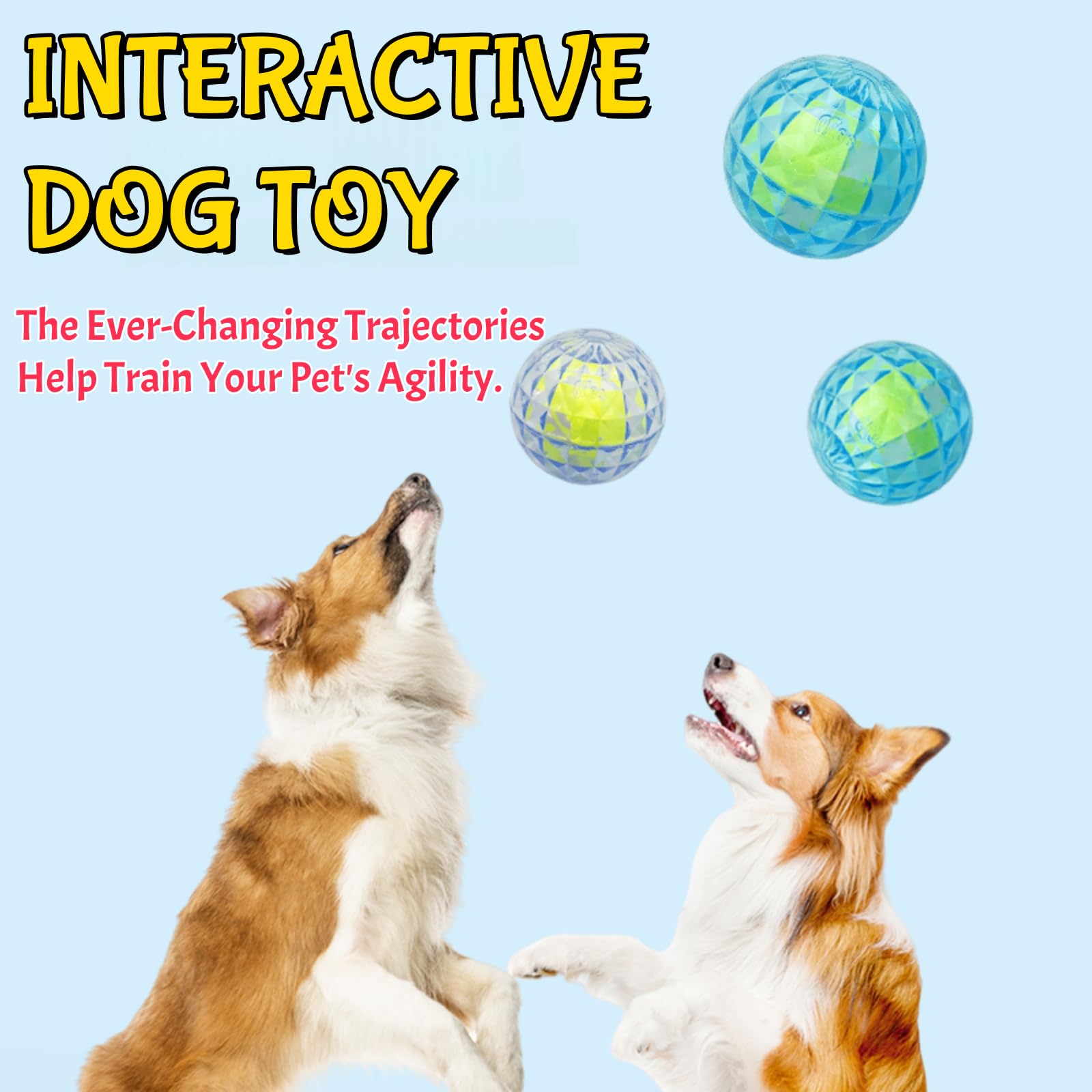 Balles dentaires Jatmira pour chien, massage des gencives pendant le jeu.