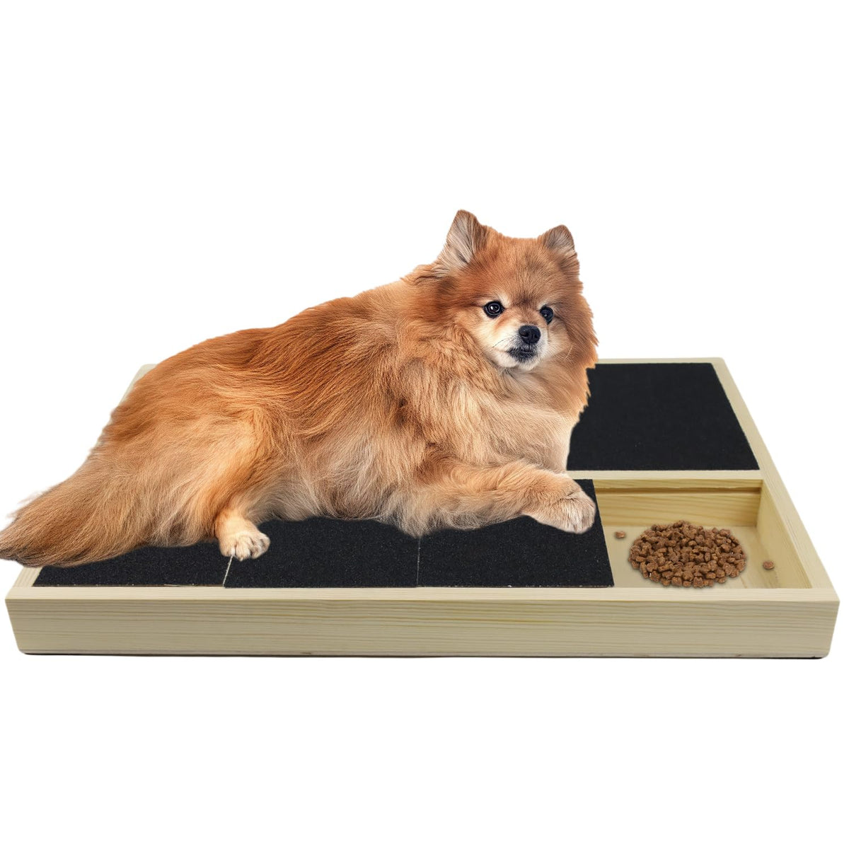 Planche griffage chien Jaxbo avec boîte gourmandises pour récompenser.