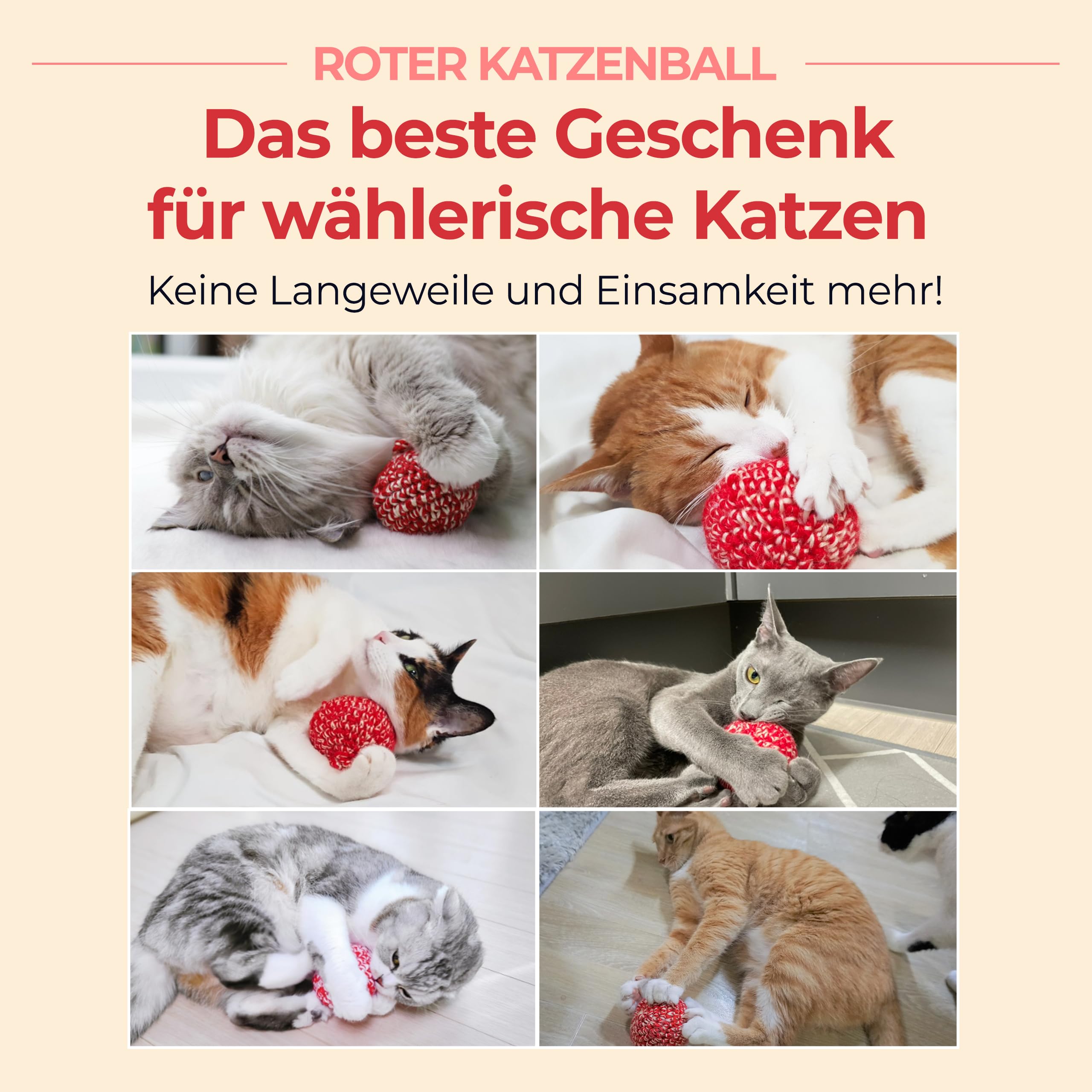 Balle JAYU PET matatabi 2,7 pouces pour chats actifs et curieux.