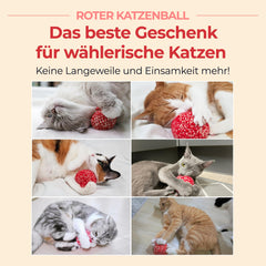 Balle JAYU PET matatabi 2,7 pouces pour chats actifs et curieux.