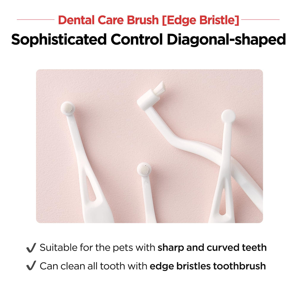 Brosse JAYU PET au design ergonomique et prise en main en 3D.