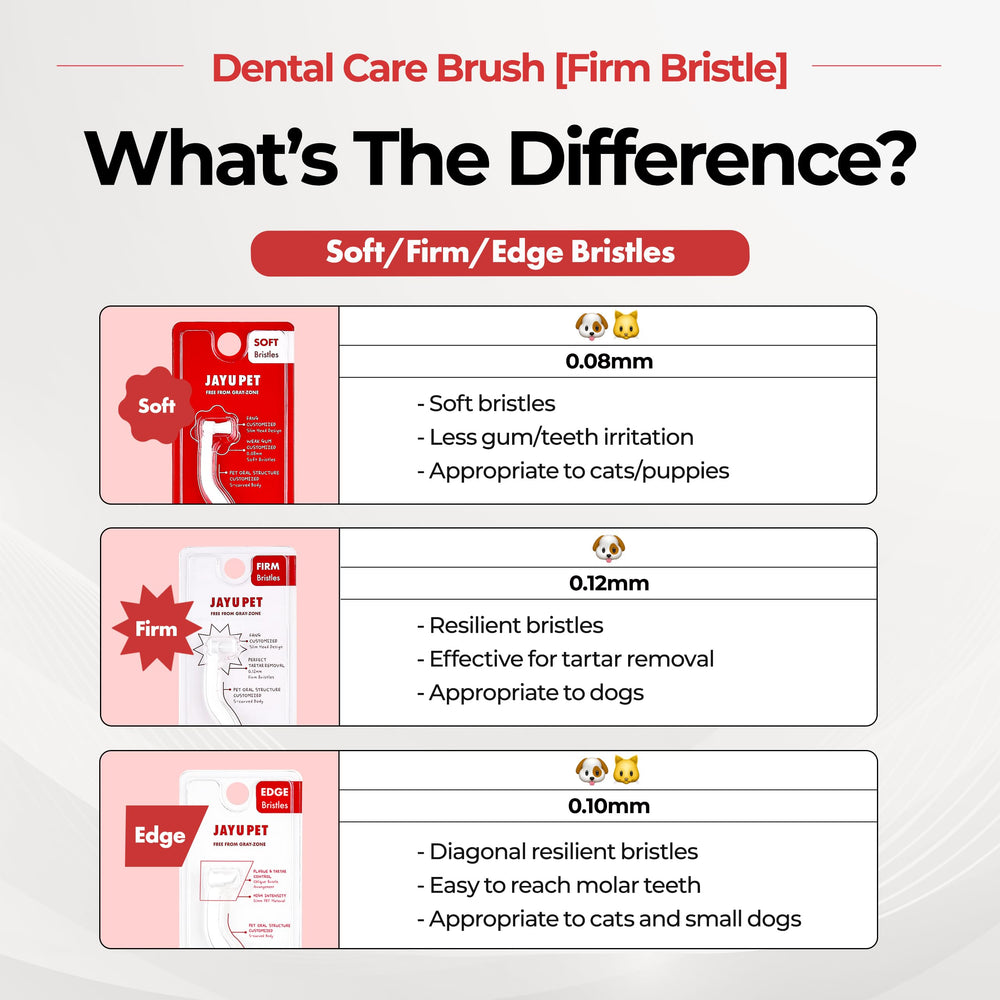 Brosse dentaire JAYU PET durable et fiable, recommandée par les pros.