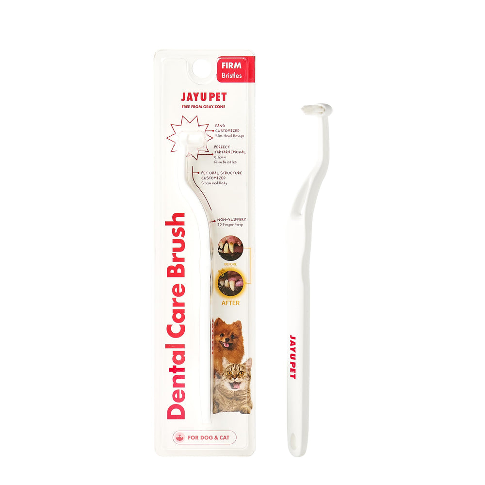 Brosse dentaire JAYU PET avec poils fermes pour éliminer la plaque.