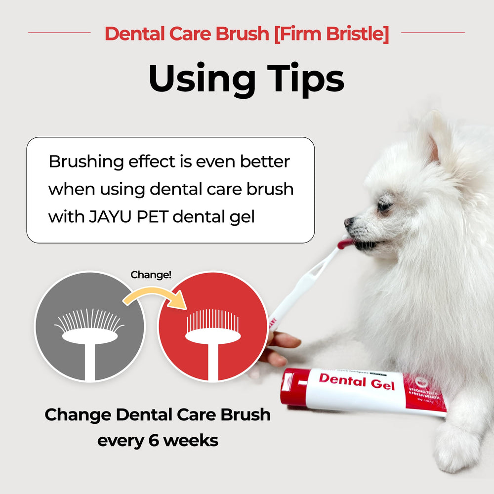 Utilisation simple avec le gel JAYU PET pour l'hygiène buccale.
