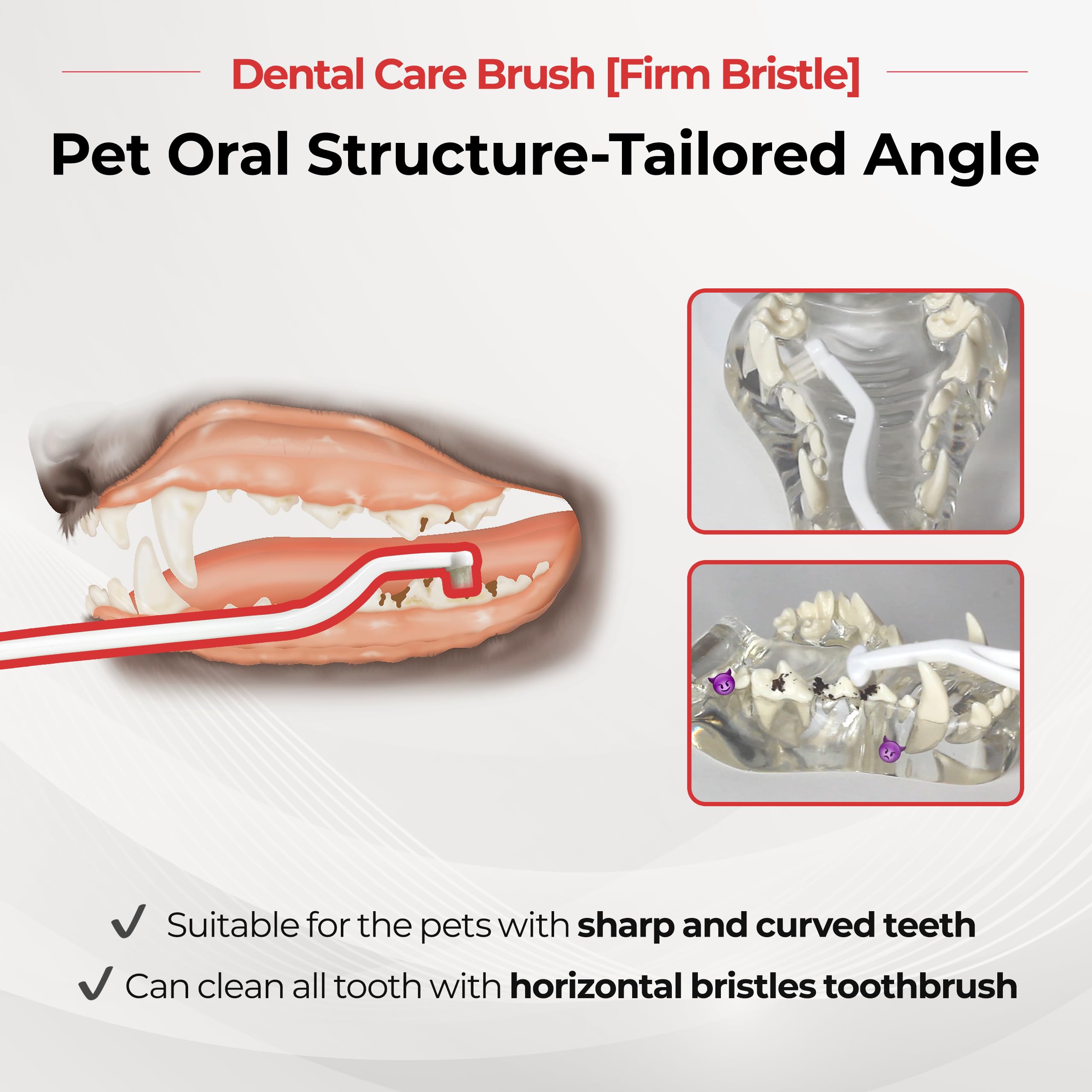Brosse adaptée chien et chat pour l'hygiène buccale.