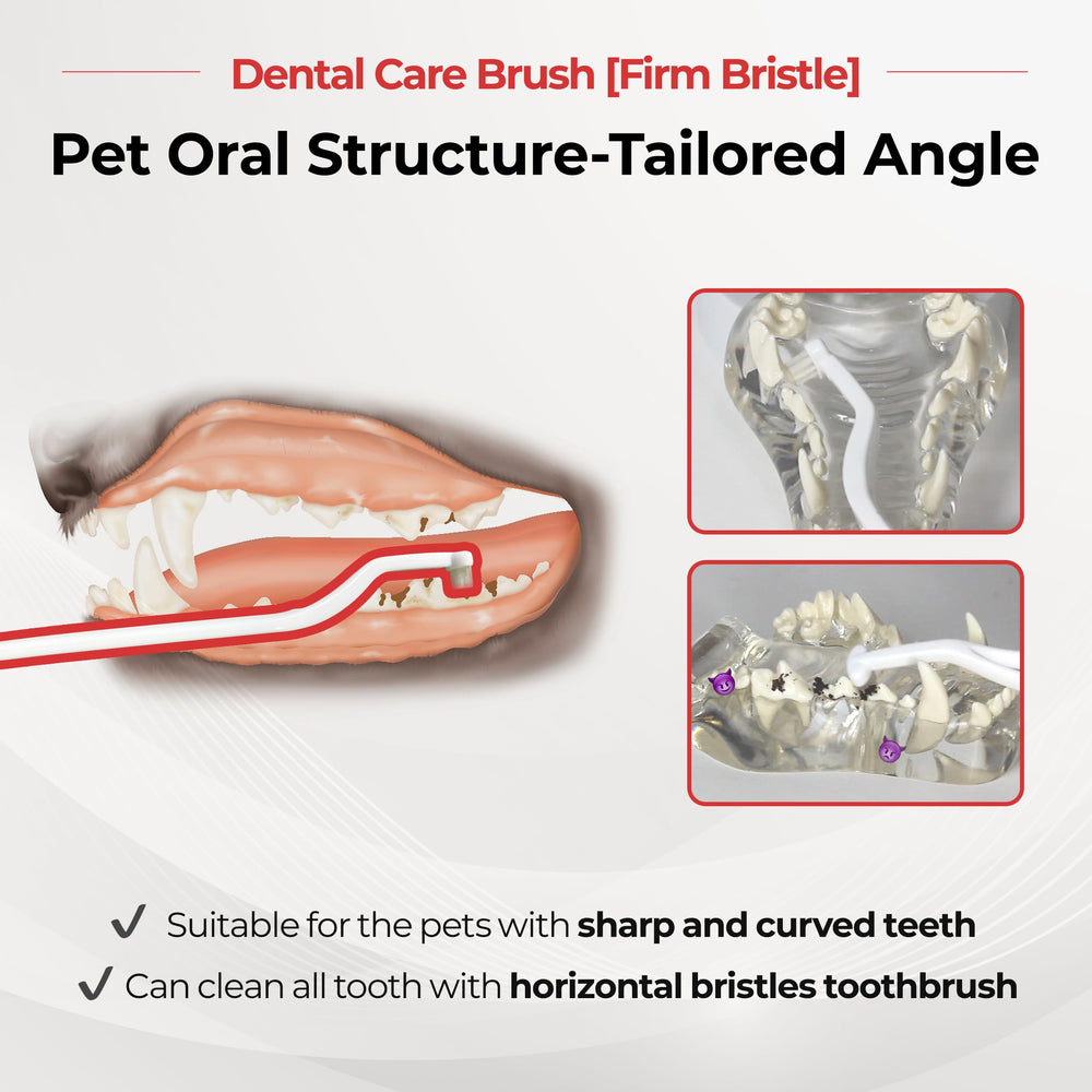 Brosse adaptée chien et chat pour l'hygiène buccale.