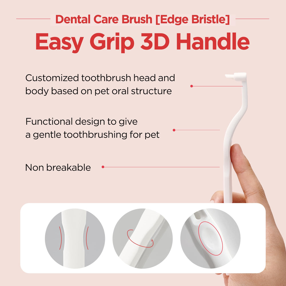 Brosse JAYU PET pouvant être utilisée avec le Gel Dentaire.