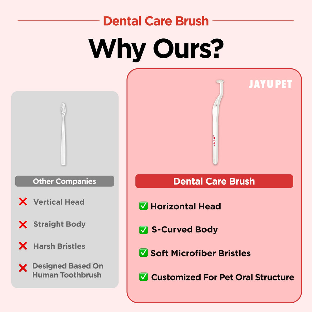 Brosse dentaire JAYU PET, aide potentielle au retrait du tartre.