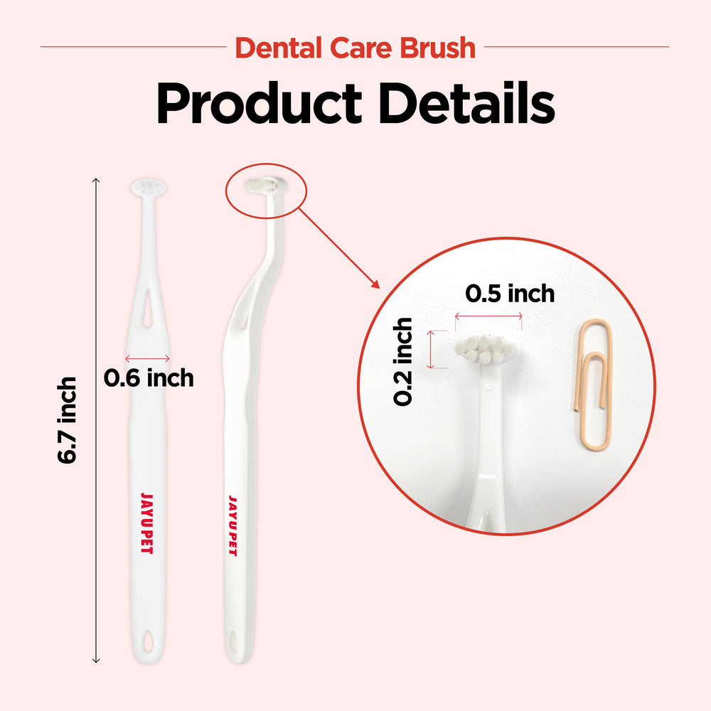 Brosse JAYU PET recommandée par les vétérinaires pour un soin régulier.