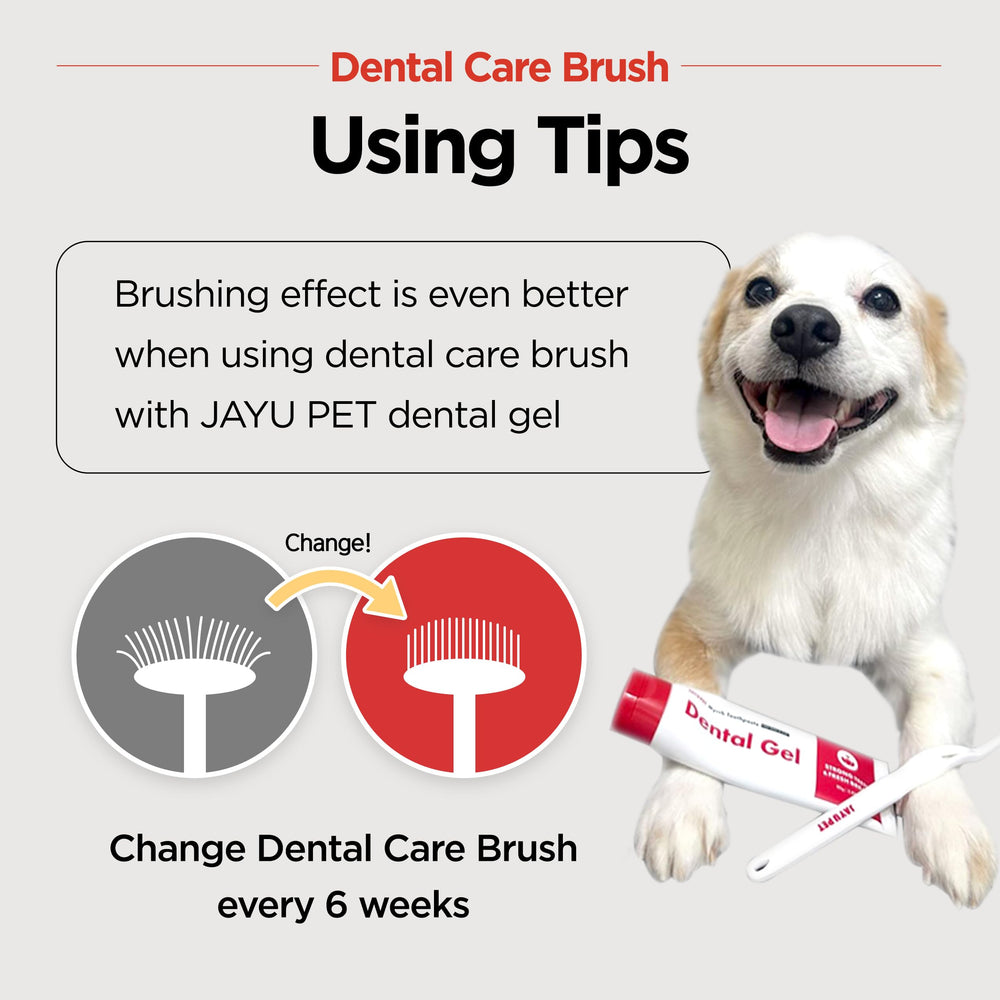 Utilisation avec Gel Dentaire JAYU PET pour compléter le brossage.