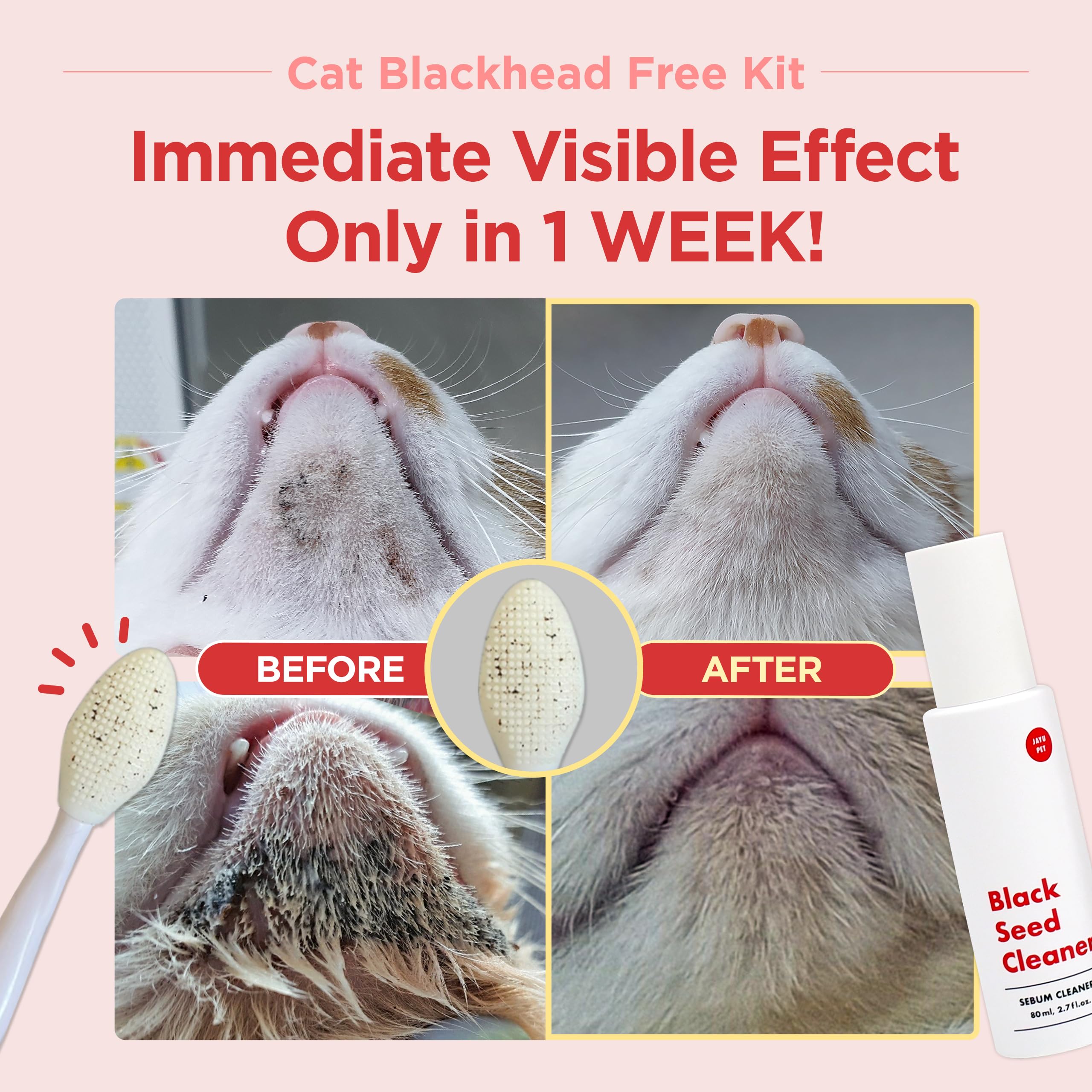 Brosse double-face JAYU PET pour chat, exfoliation en douceur