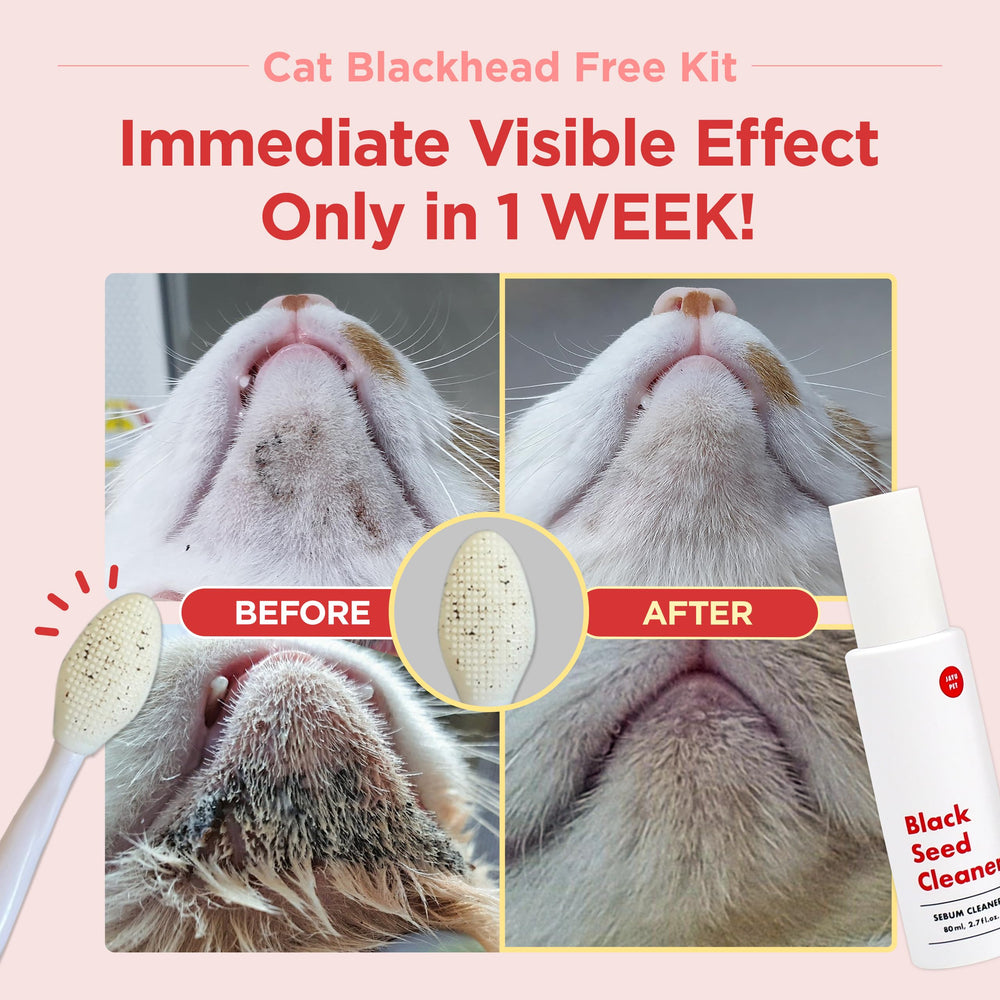 Brosse double-face JAYU PET pour chat, exfoliation en douceur