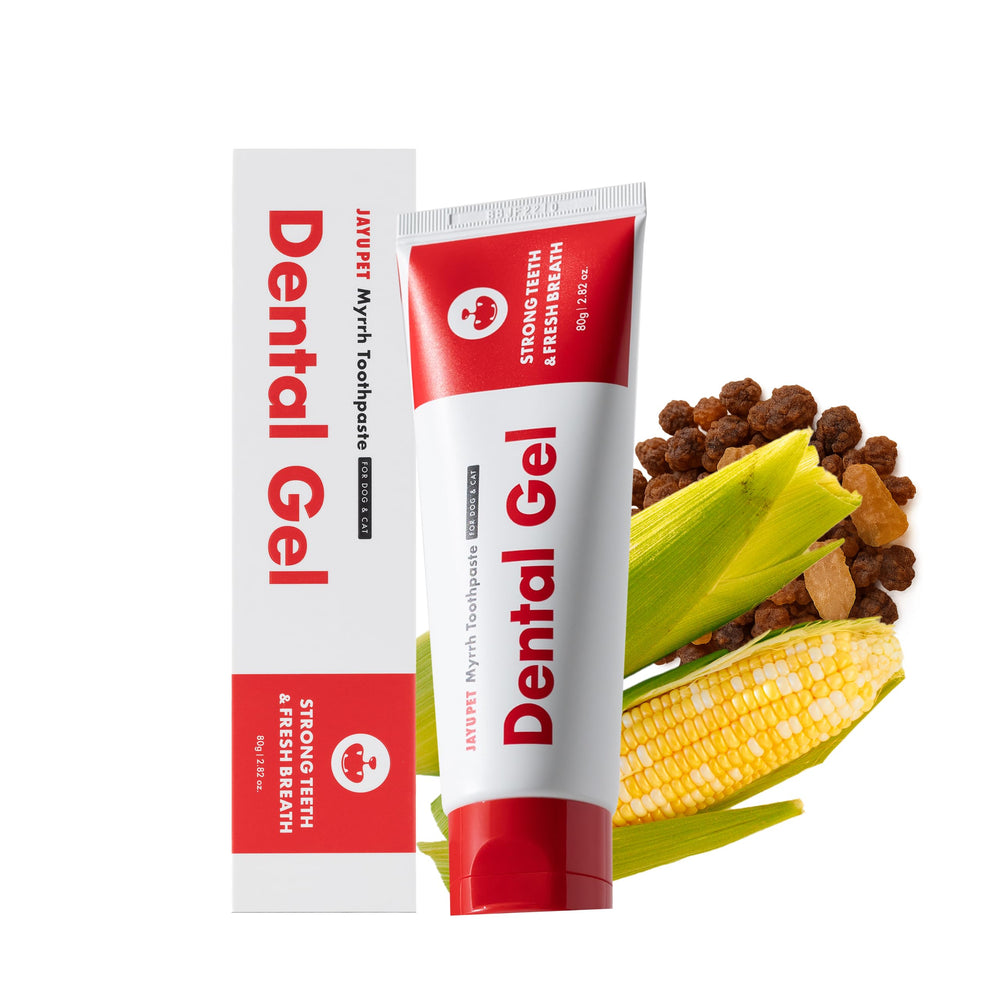 JAYU PET Gel dentaire – tube facile à serrer, utilisation pratique.