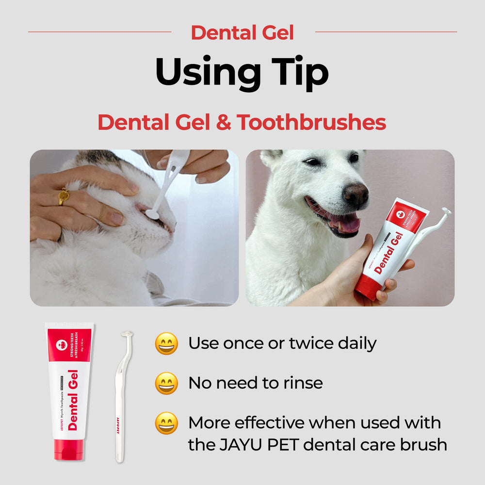Gel dentaire JAYU PET – utilisation quotidienne sans rinçage.