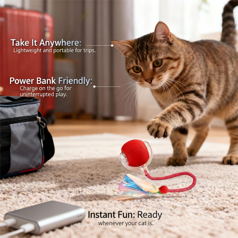 Emballage cadeau JBD, idée premium pour cadeaux de chat.