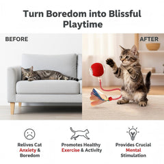 Balle JBD avec queue détachable attisant l’instinct de chasse du chat.