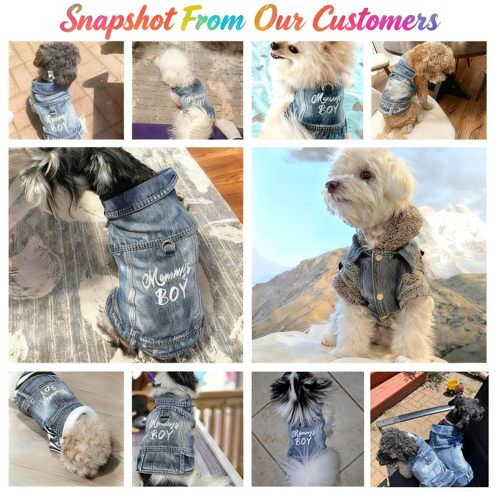 Veste JcDuDoi adaptée à toutes les saisons pour chien.