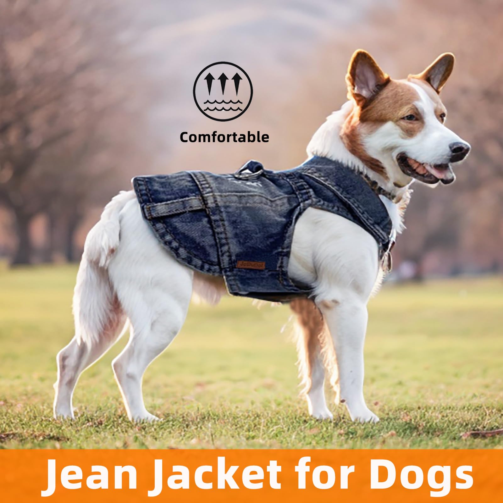 Ajustement rapide JcDuDoi, design overlay pour chiots et petits chiens.