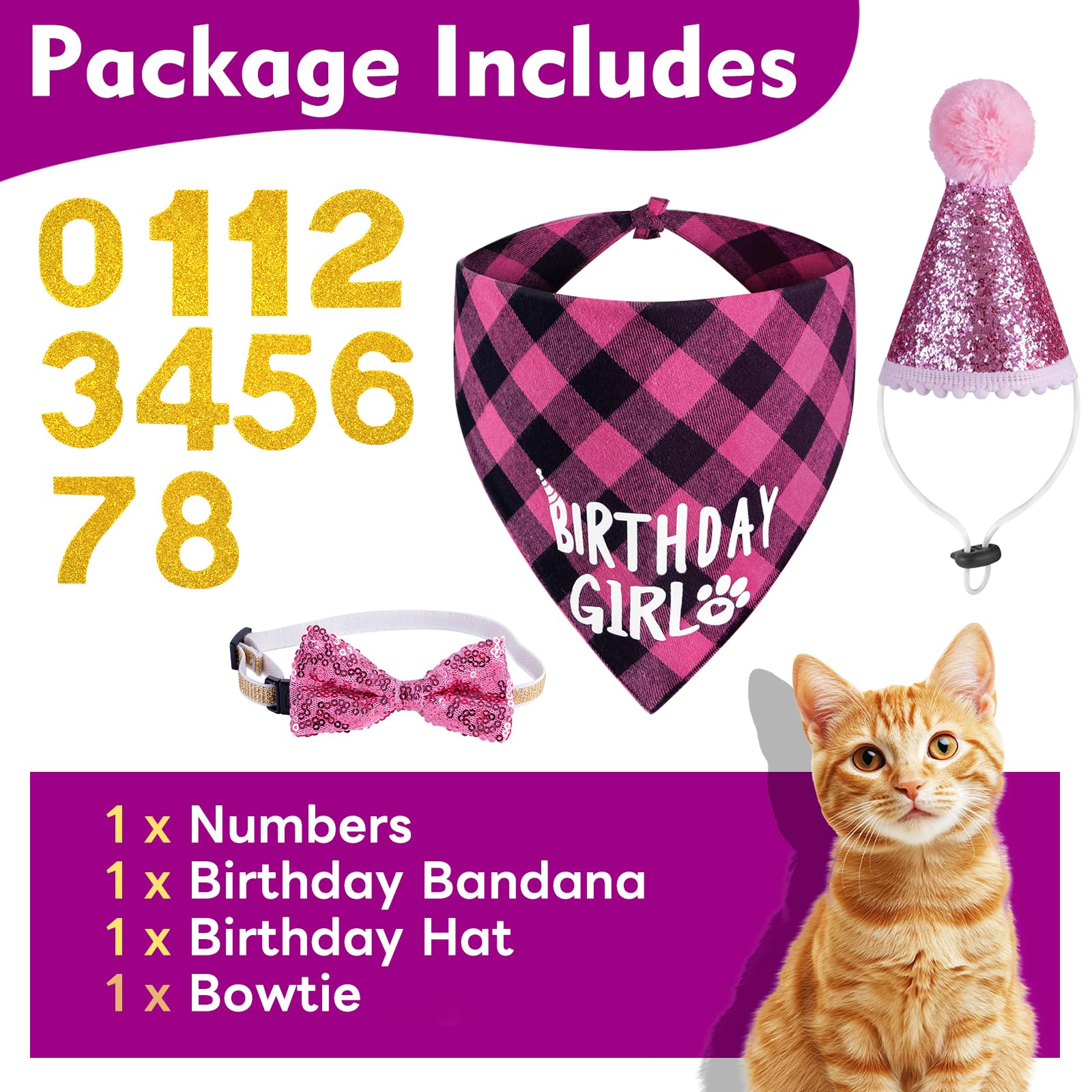 Chat portant bandana rose JCSHIMO, look festif en séance photo