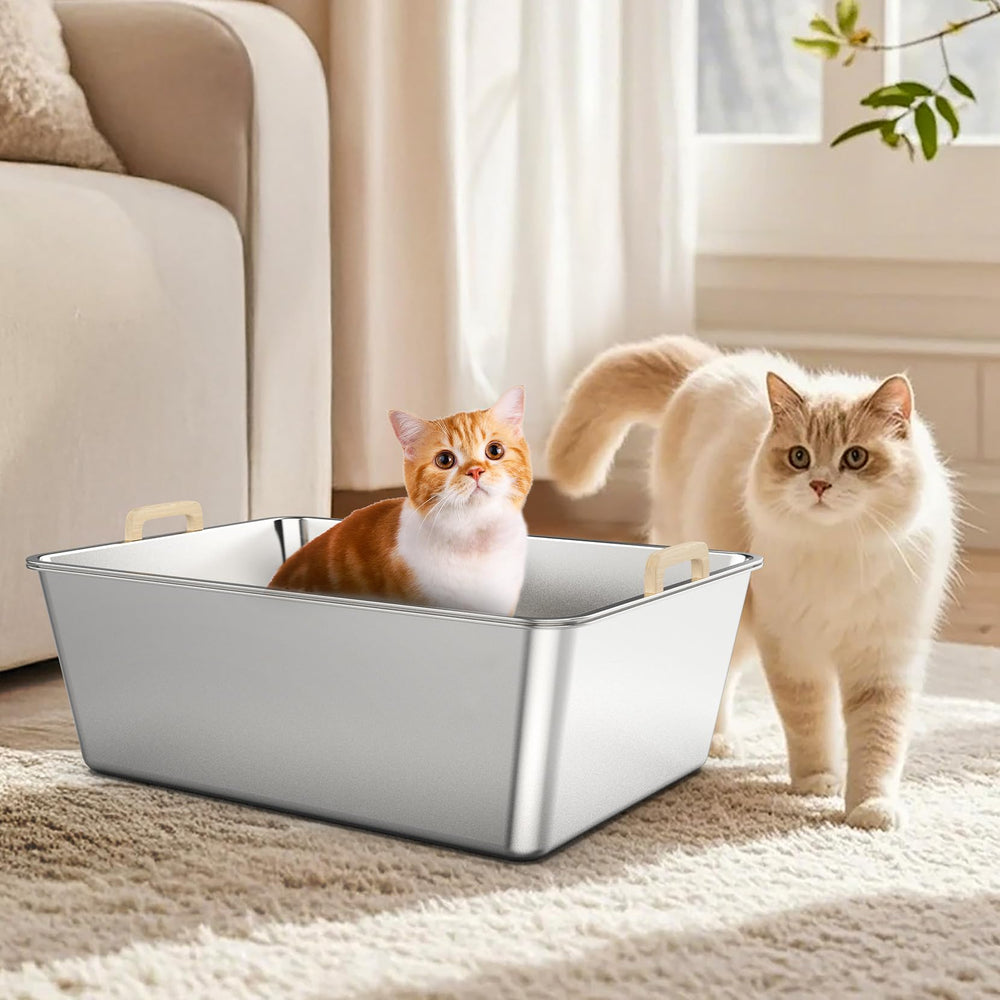 JDCQKHA espace intérieur XXL, adapté pour grands chats et multi-chats.