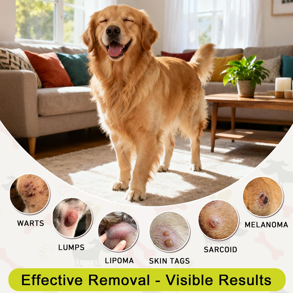 Jdicklary DMSO — soin ciblé peau canine et réduction possible d'irritations.