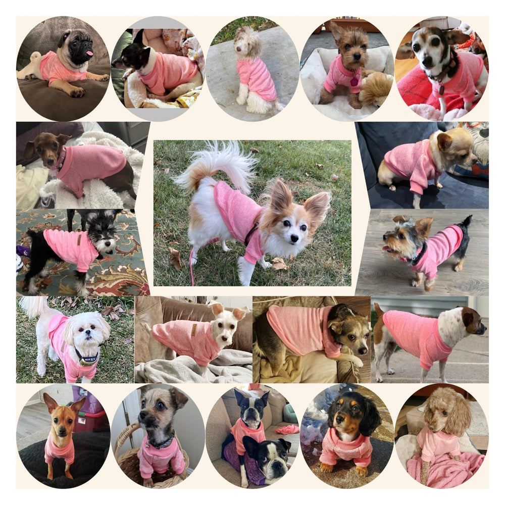 Matière-polyester-douce Jecikelon, pull chien rose, lavage facile et séchage rapide.
