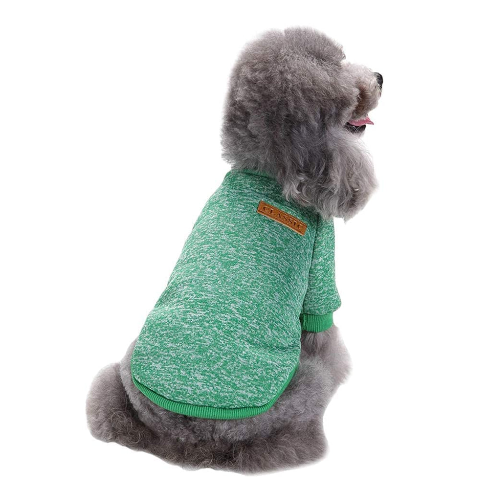 Pull JECIKELON pour petit chien vert, douceur et chaleur quotidienne.