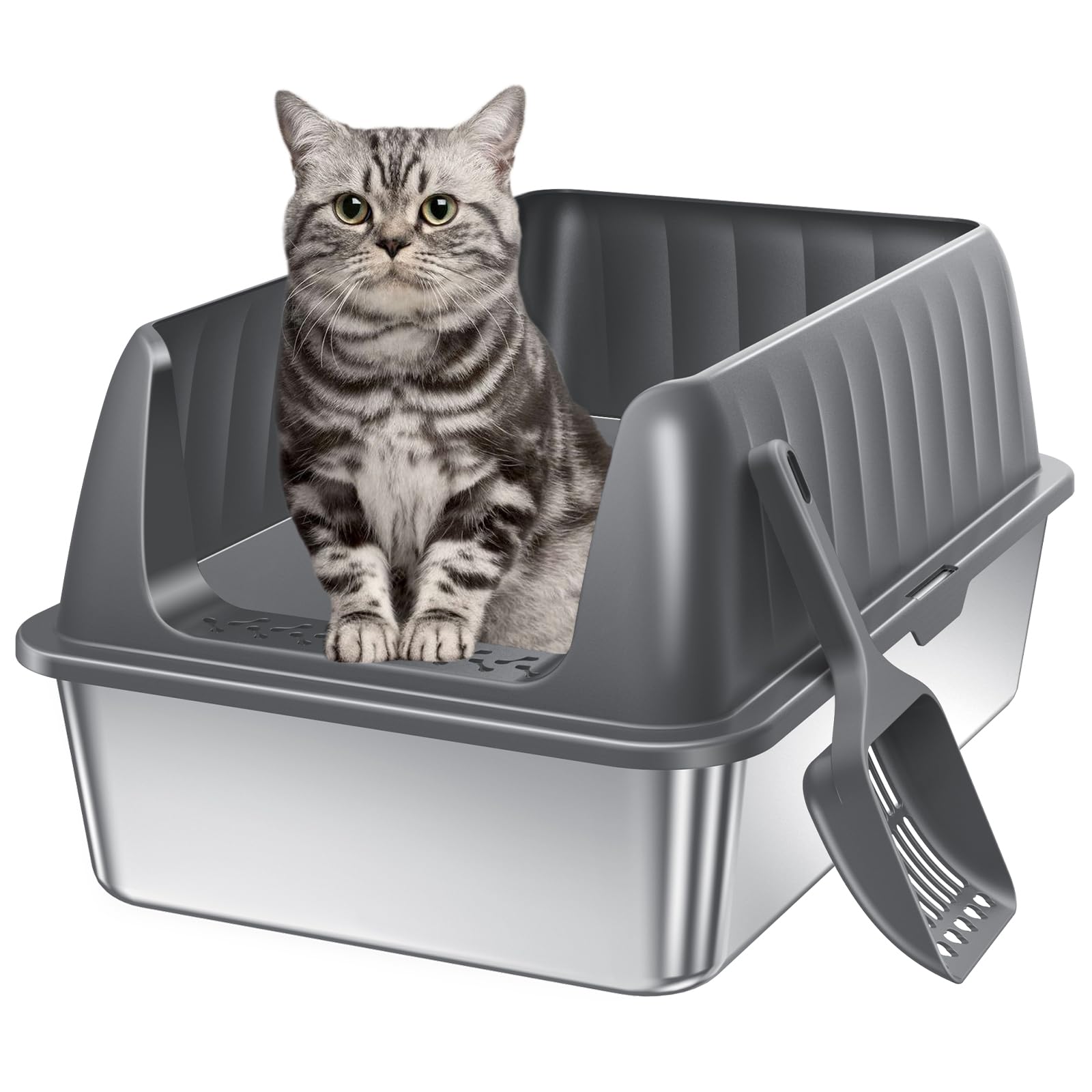 Jecoo boîte-litière acier inox avec entrée basse, accès facile pour chatons et petits chats.