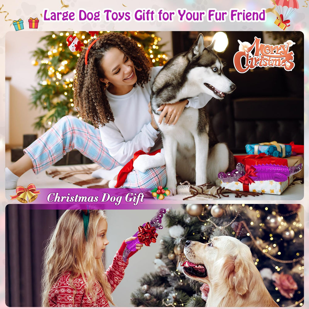 Jouet coloré Jeefome, cadeau parfait pour chiens actifs.