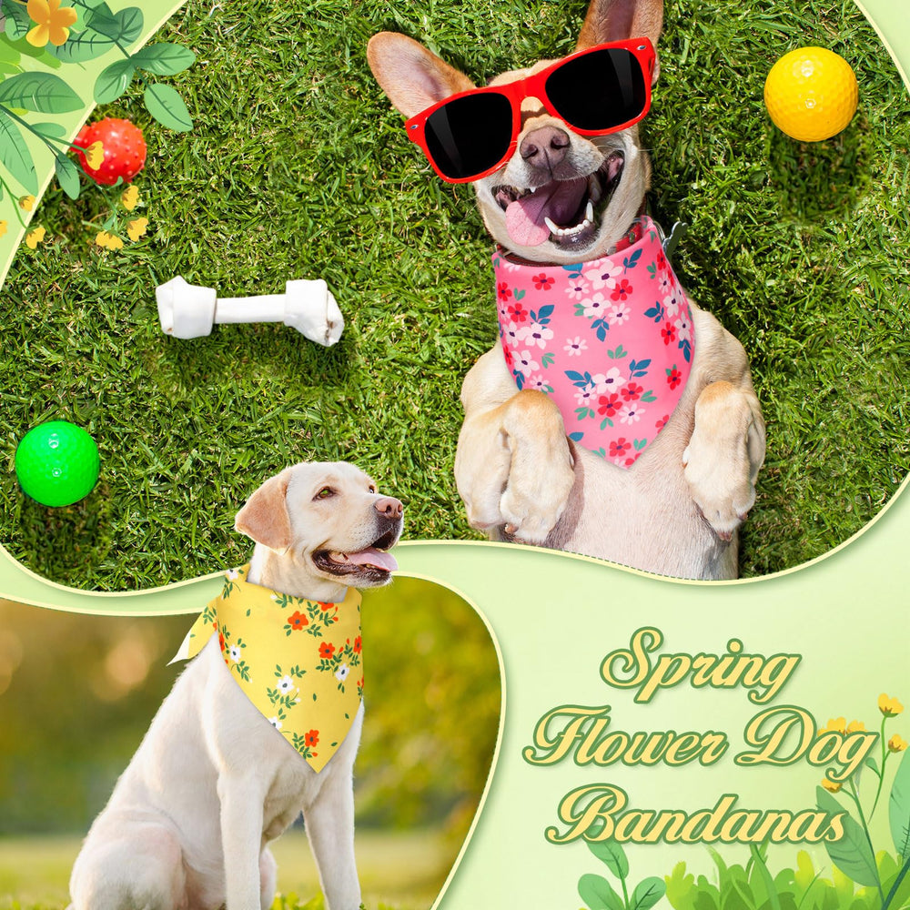 Foulards fleuris Jeere pour chien avec couleurs vives.