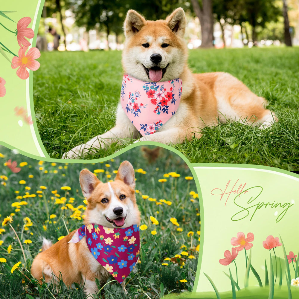 Chien portant un foulard Jeere, allure ludique et élégante.