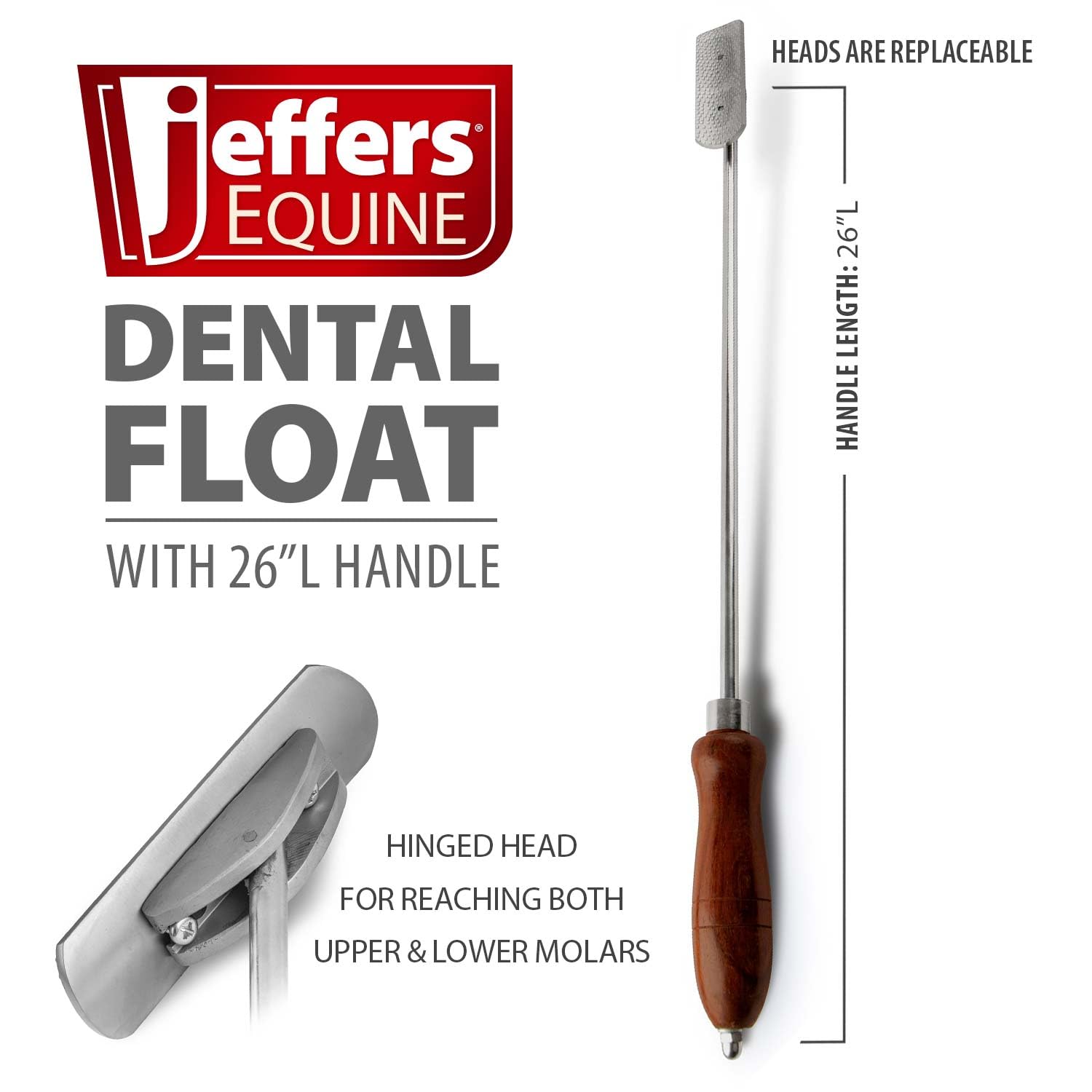 Jeffers dentaire équin lame concave pour un travail précis sur les surfaces dentaires