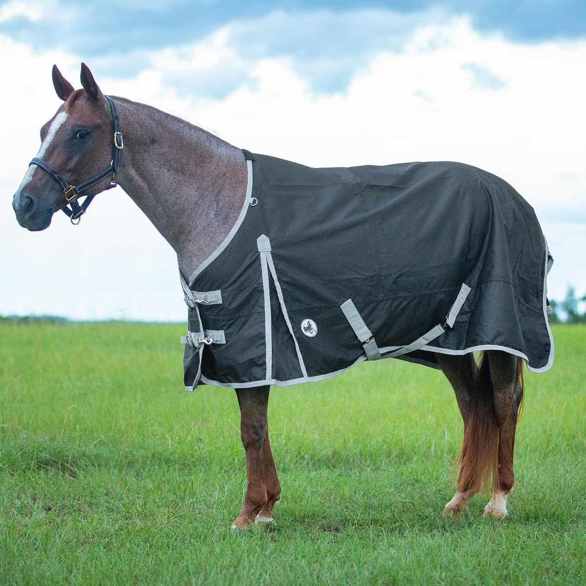 Jeffers Economy 600D encolure standard, couverture imperméable et légère, idéale pour pâturage et déplacements