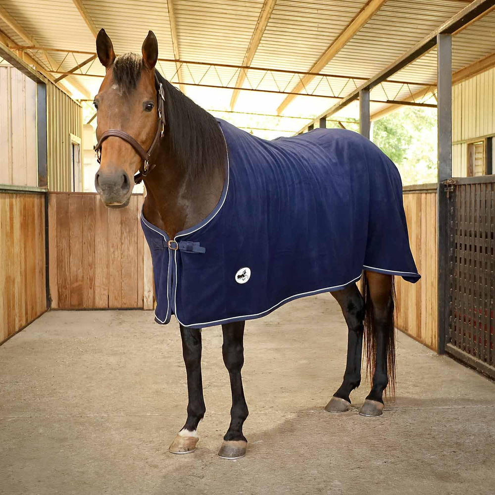 Jeffers Elite Équine couverture polaire 66pouces marine, vue générale sur le cheval après l'exercice.