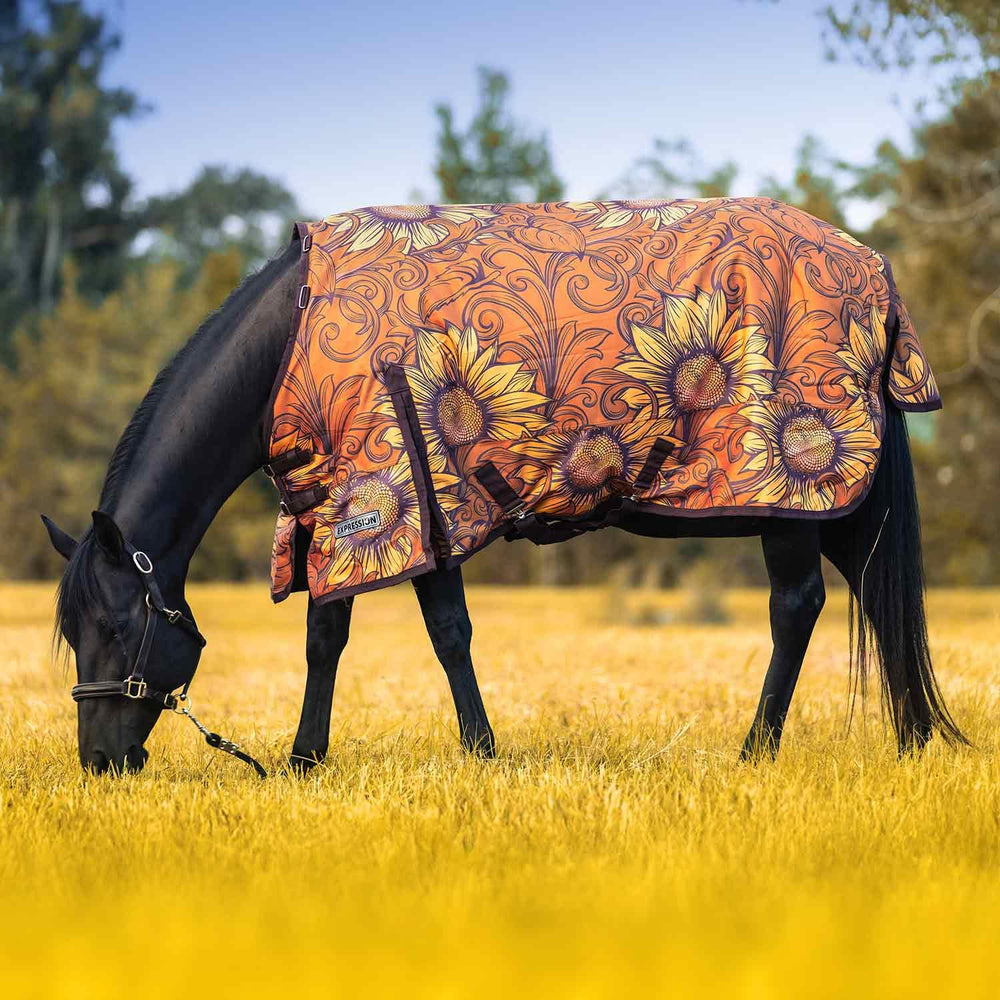 Jeffers Expression: couverture cheval 1200 denier imperméable pour barn et paddock
