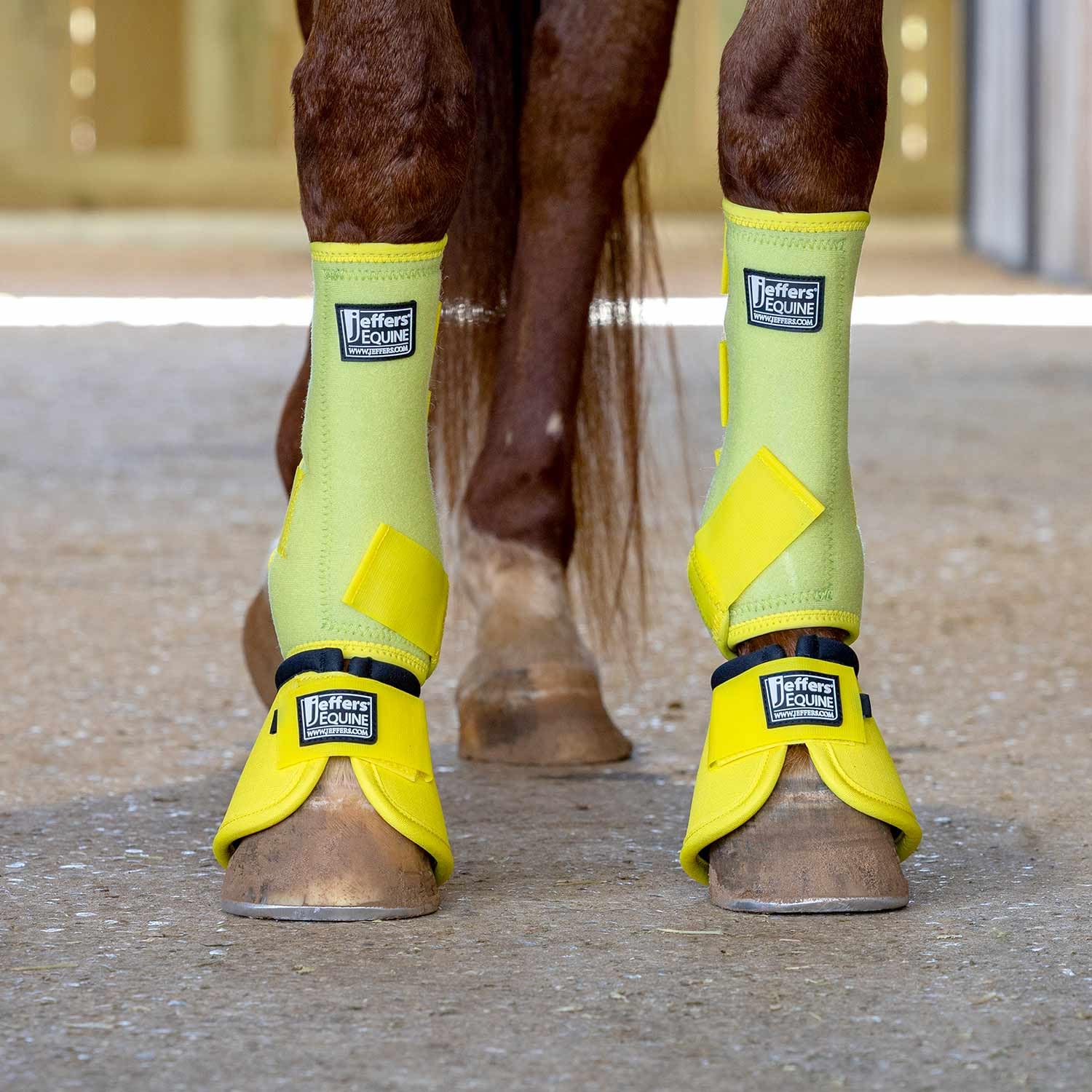 Jeffers Expression bottes-protection cheval arrière: couverture sécurisée pendant l'entraînement et le travail au pré.